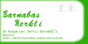 barnabas merkli business card